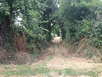 Balade en famille autour de Randonnée ludique en famille dans le village du Gault-du-Perche dans le 41 - Loir-et-Cher